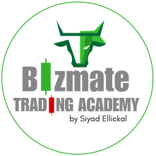 Bizmate Trading Academy Stock Market Institute Logo
