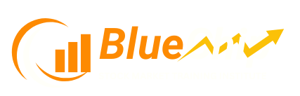 Blue Chip Institute – Stock Market Training Institute in Bhopal