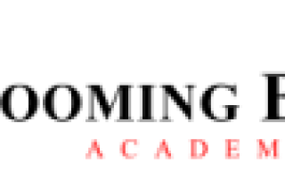 Booming Bulls Academy