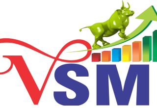 VSMI Institute Pvt. Ltd. Stock Market Institute Logo