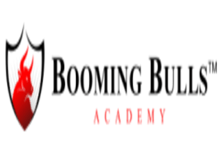 Booming Bulls Academy Stock Market Institute Logo