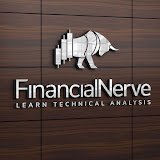 Financial Nerve Stock Market Institute Logo